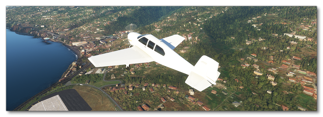 It Flies!